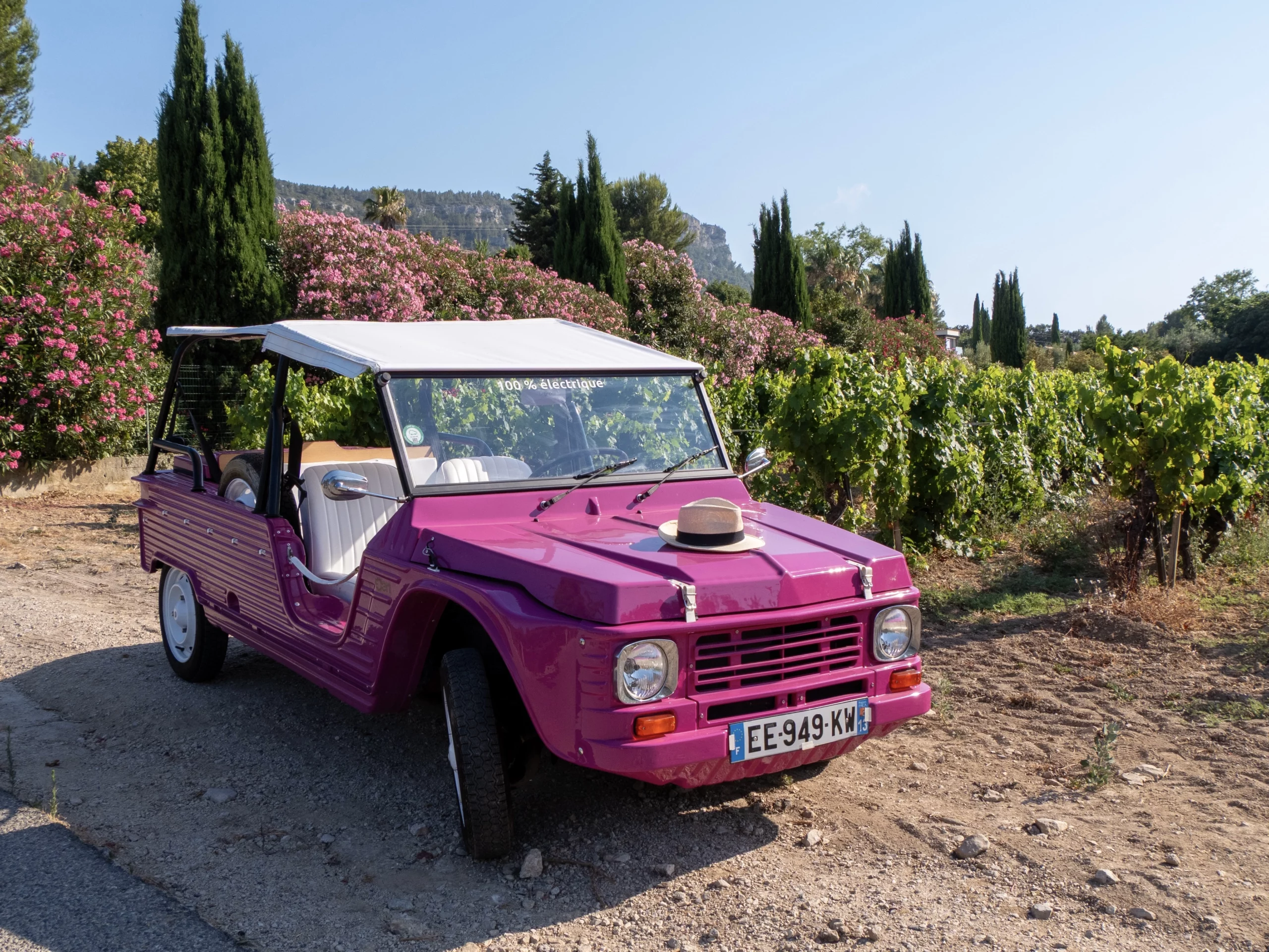 Grenache — profil avant, Calanques de Cassis